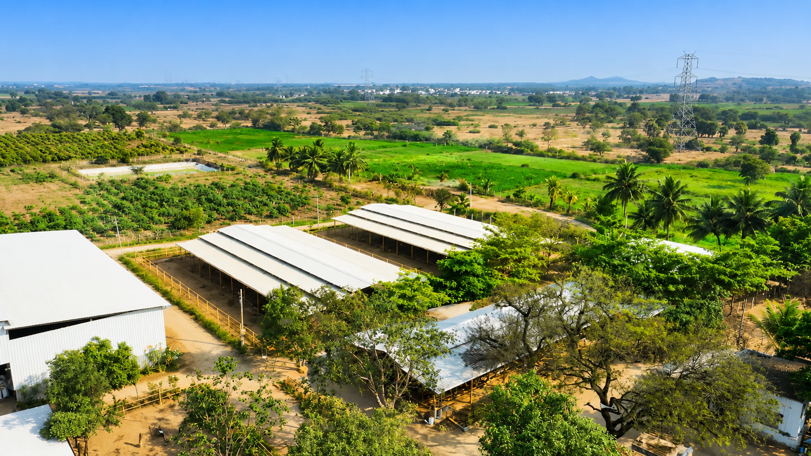 Farm Beekeeping